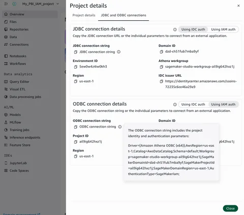 SageMaker Unified Studio project overview showing the ODBC connection string
