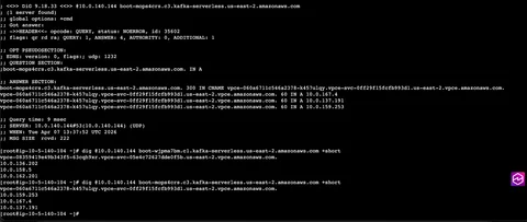 dig命令的终端输出，解析两个MSK Serverless引导字符串到跨账户的代理IP地址。