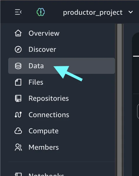 Data option in the SageMaker Unified Studio project navigation