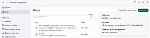 SageMaker Unified Studio domain SSO connection details showing the IAM Identity Center instance ARN