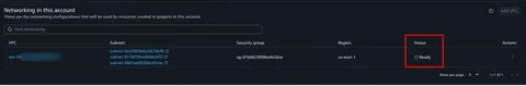 VPC configuration status showing Ready in the Networking in this account section.