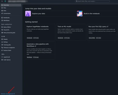 Navigation pane showing Domain management link in Amazon SageMaker Unified Studio.