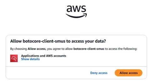 Browser consent prompt requesting access approval during AWS CLI SSO authentication