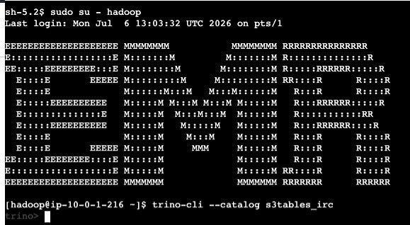 Trino CLI 连接到 Amazon EMR 上的 s3tables_irc 目录